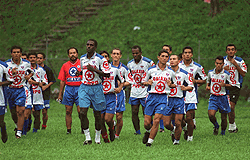 Firpo during training